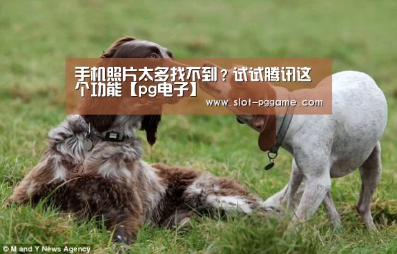 手机照片太多找不到?试试腾讯这个功能【pg电子】(图1) pg电子入口