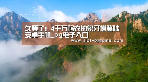 久等了!4千万码农的象牙塔登陆安卓手机_pg电子入口(图1) pg电子游戏