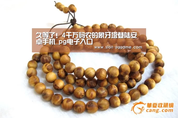 久等了!4千万码农的象牙塔登陆安卓手机_pg电子入口(图2) pg电子入口