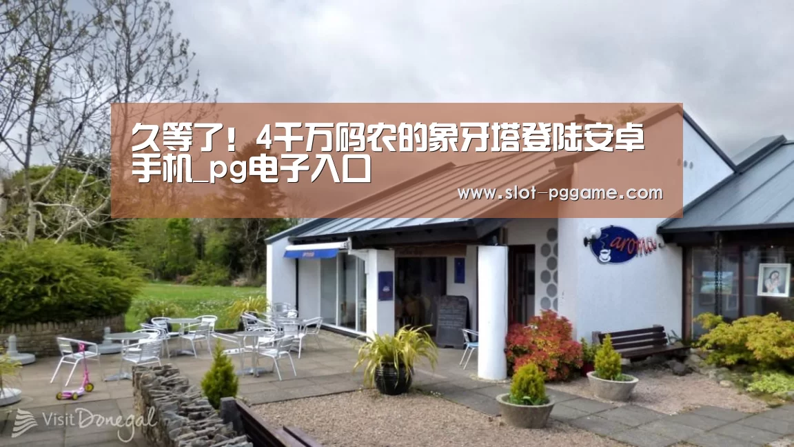 久等了!4千万码农的象牙塔登陆安卓手机_pg电子入口(图4) pg电子游戏