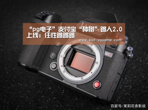 “pg电子”支付宝“种树”踢人2.0上线:任性踢踢踢(图2) pg电子游戏