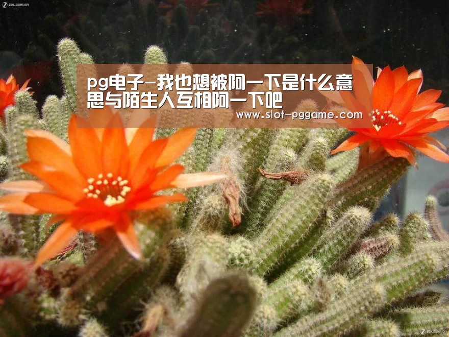 pg电子-我也想被阿一下是什么意思与陌生人互相阿一下吧(图1) pg电子